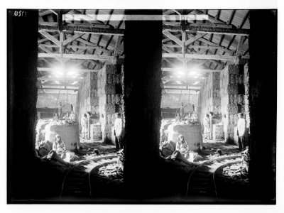 Characters and industries, etc. Bales of licorice root in factory at Alexandretta LOC matpc.02202