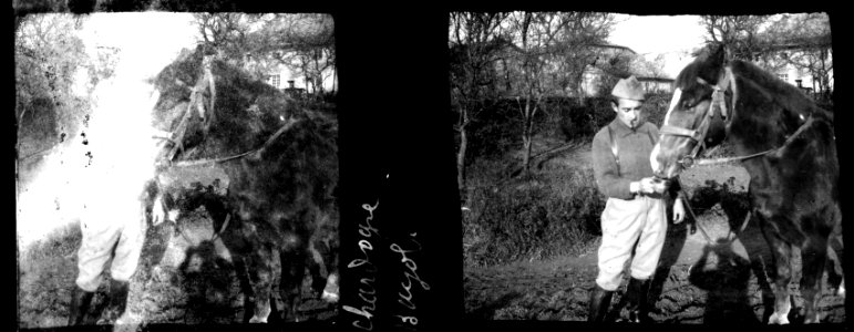 Chardogne. Bayol - Fonds Berthelé - 49Fi325