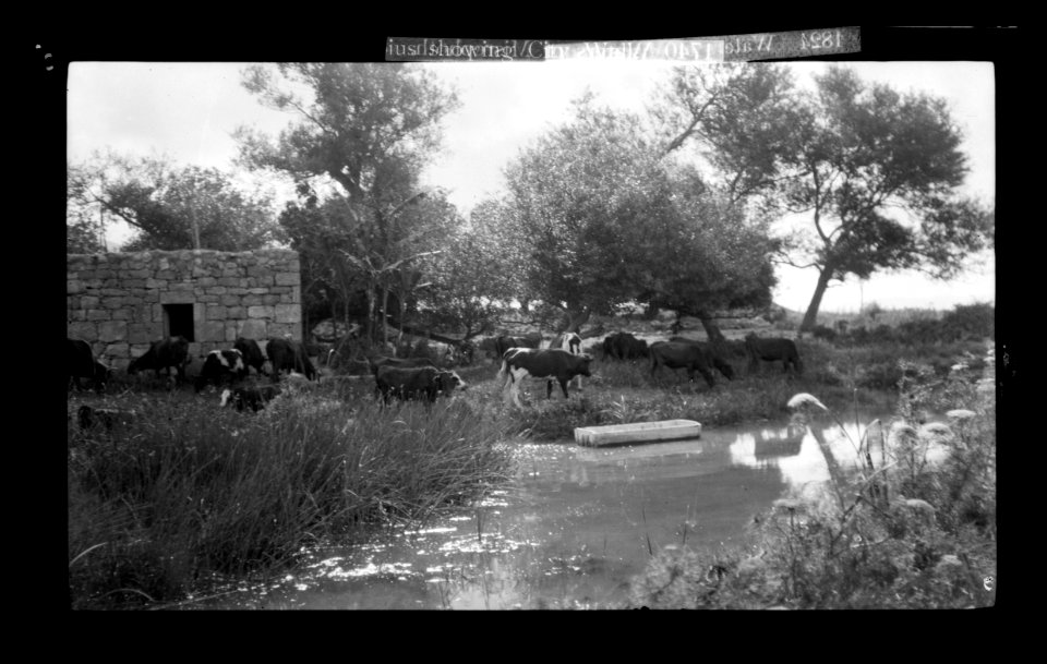 Characters and industries, etc. Waters of Misrephoth LOC matpc.22055