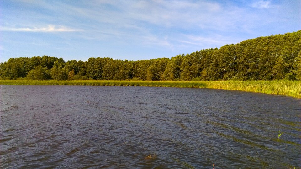 Pond lagoon masuria