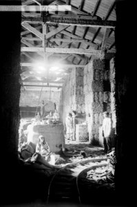Characters and industries, etc. Bales of licorice root in factory at Alexandretta LOC matpc.02202 (cropped)