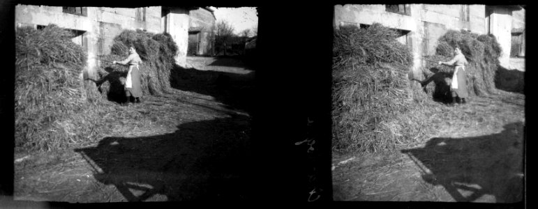 Chardogne. (Paysanne rentrant le foin) - Fonds Berthelé - 49Fi451