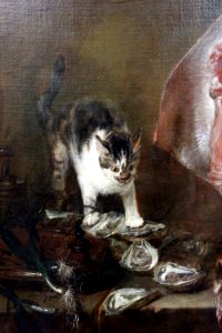 Chardin, la razza, 1725-26 ca., 02 gatto