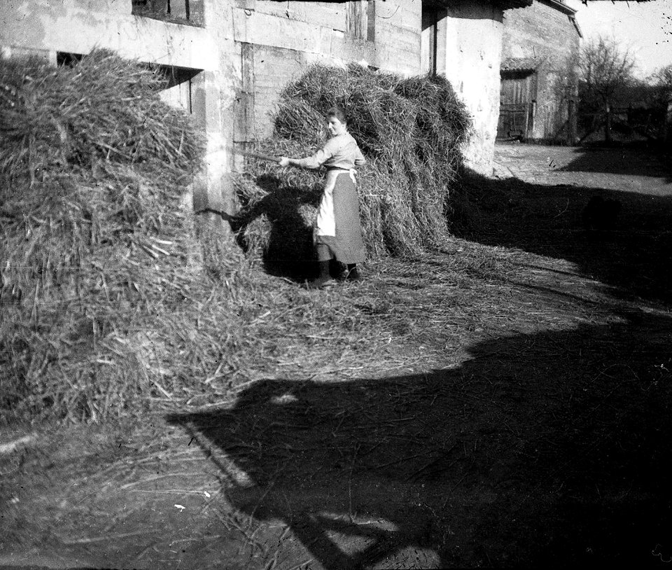 Chardogne. (Paysanne rentrant le foin) - Fonds Berthelé - 49Fi451 (cropped)