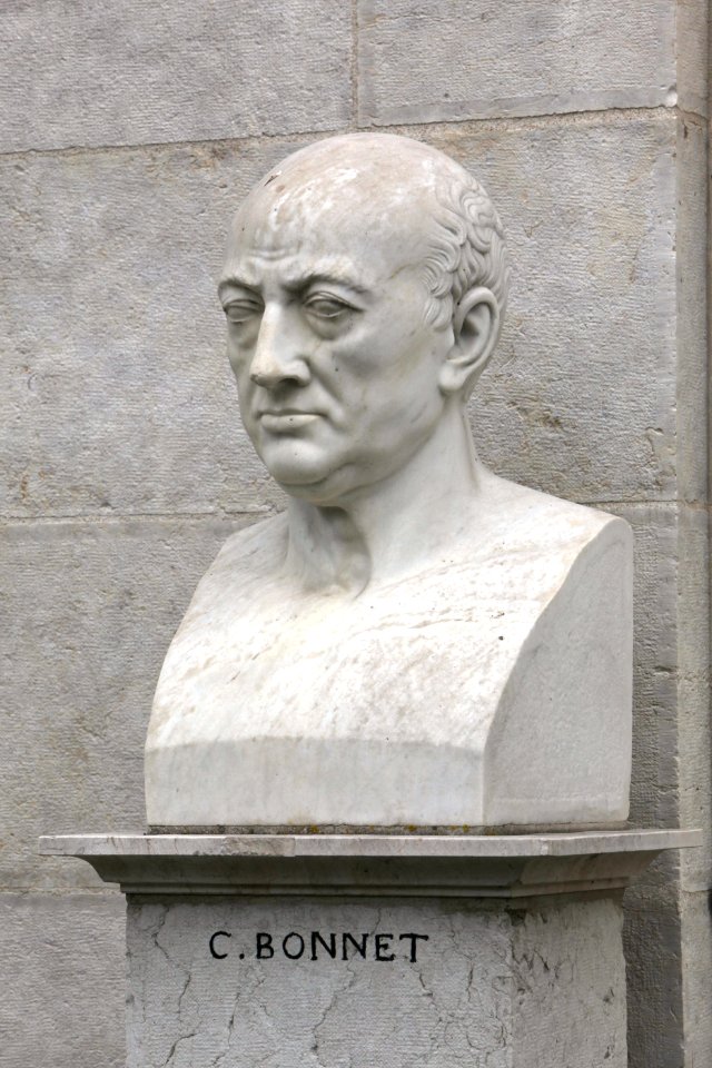 Charles Bonnet by James Pradier-jardin botanique-IMG 0128