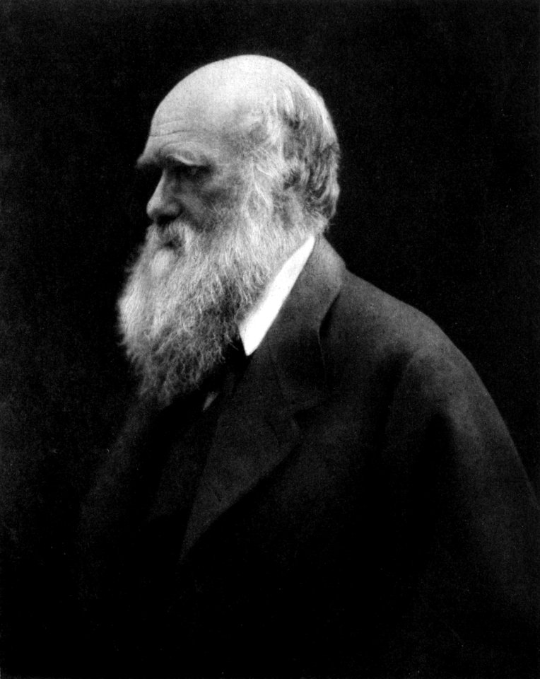 Charles Darwin by Julia Margaret Cameron 2