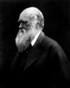 Charles Darwin by Julia Margaret Cameron 2 photo