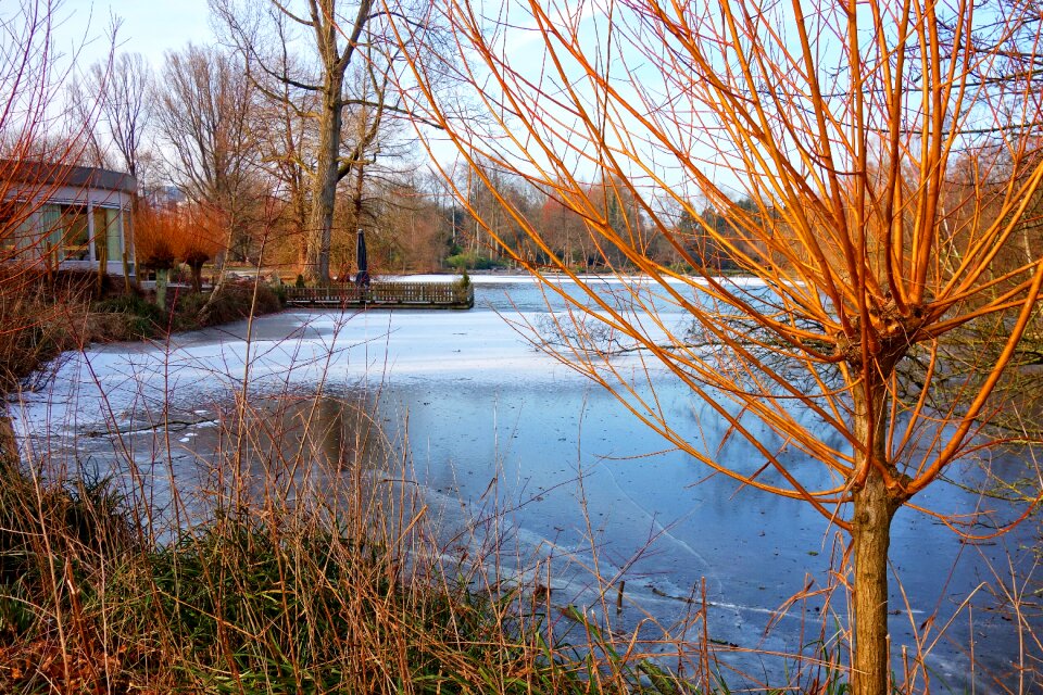 Pond shore building