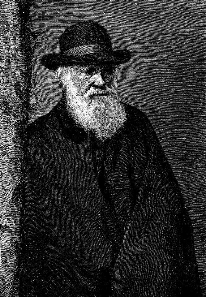 Charles Darwin by Elliott and Fry
