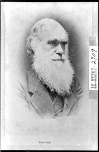 Charles Darwin LCCN2002725182