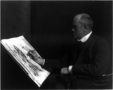 Charles Dana Gibson LCCN2012646040