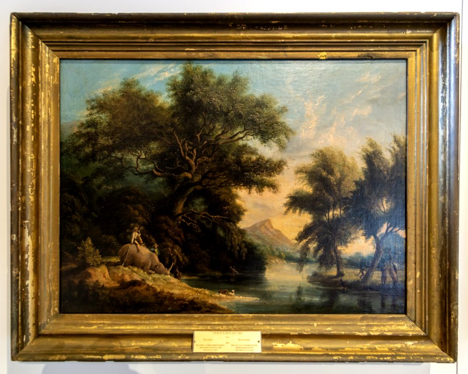 Charles Davidson Bell-Hunting a White rhinoceros on the Crocodile River (CG 5)-0629