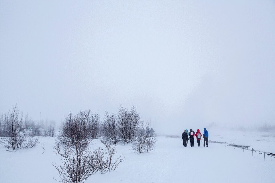 Walking friends adventure