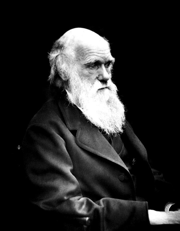 Charles Darwin 01