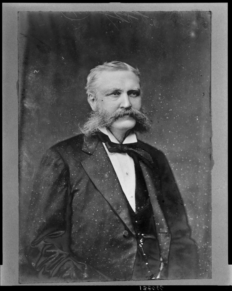 Charles H. Adams, Republican Congressman from New York, head-and-shoulders portrait, facing front) - Brady & Handy Photo, Washington, D.C LCCN2008680666