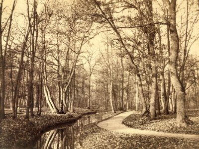 Charles Marville, Bois de Boulogne, Paris, about 1858
