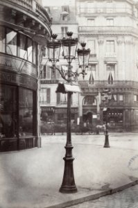 Charles Marville, Bouquet à 3 branches avec Inscription des noms des rues, 1878