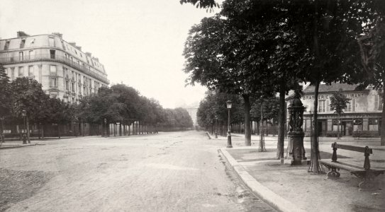 Charles Marville, Avenue de l'Observatoire, ca. 1853–70