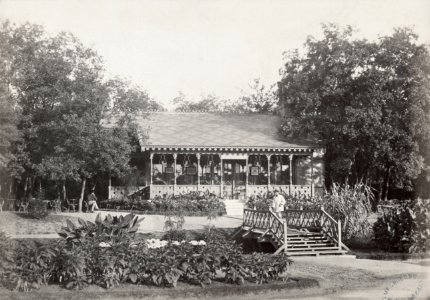 Charles Marville, Bois de Boulogne - Pré Catelan, ca. 1853–70