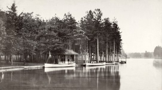 Charles Marville, Promenades de Paris - Bois de Boulogne II, ca. 1853–70