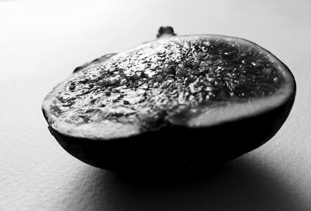 Food blackandwhite tropical
