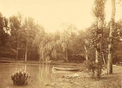 Charles Marville, Scene at the Bois de Boulogne, Paris, 1858