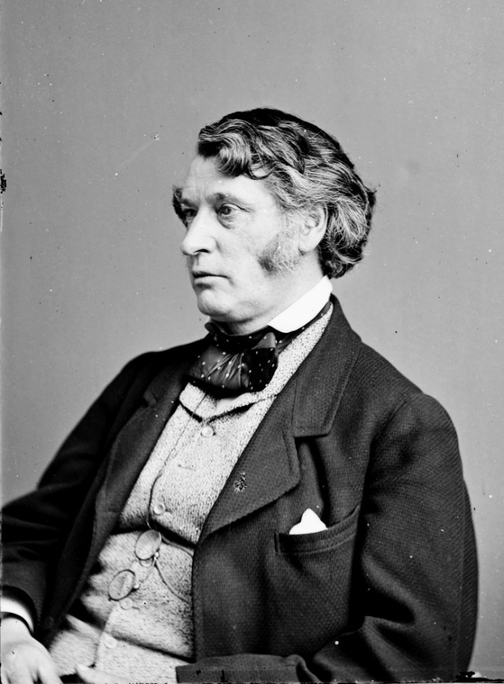 Charles Sumner - Brady-Handy