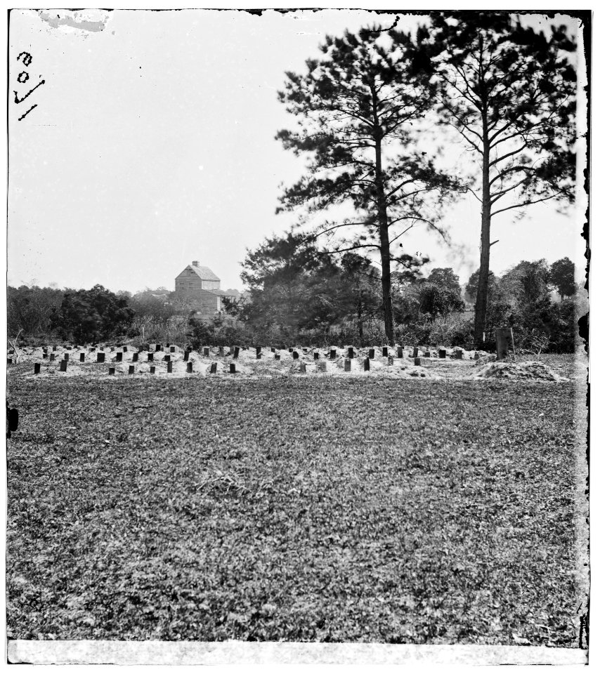 Charleston, South Carolina (vicinity). Graves of Federal soldiers LOC cwpb.02339