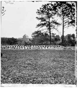 Charleston, South Carolina (vicinity). Graves of Federal soldiers LOC cwpb.02339