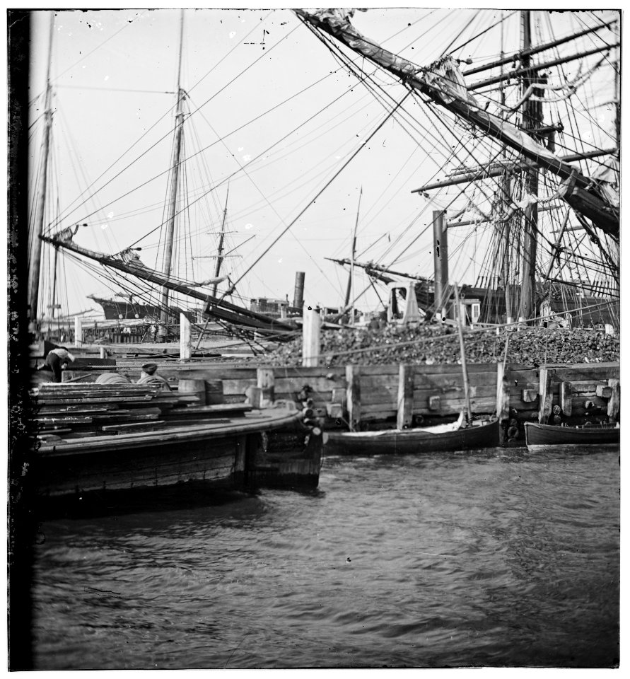 Charleston, South Carolina. View of the wharves near the Battery LOC cwpb.02381
