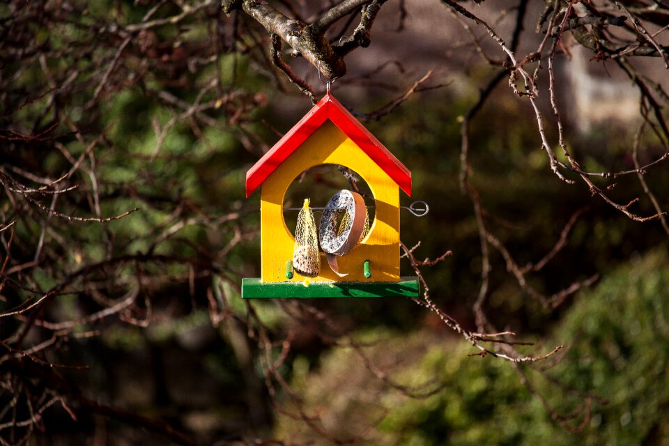 Feeding place bird feeder garden