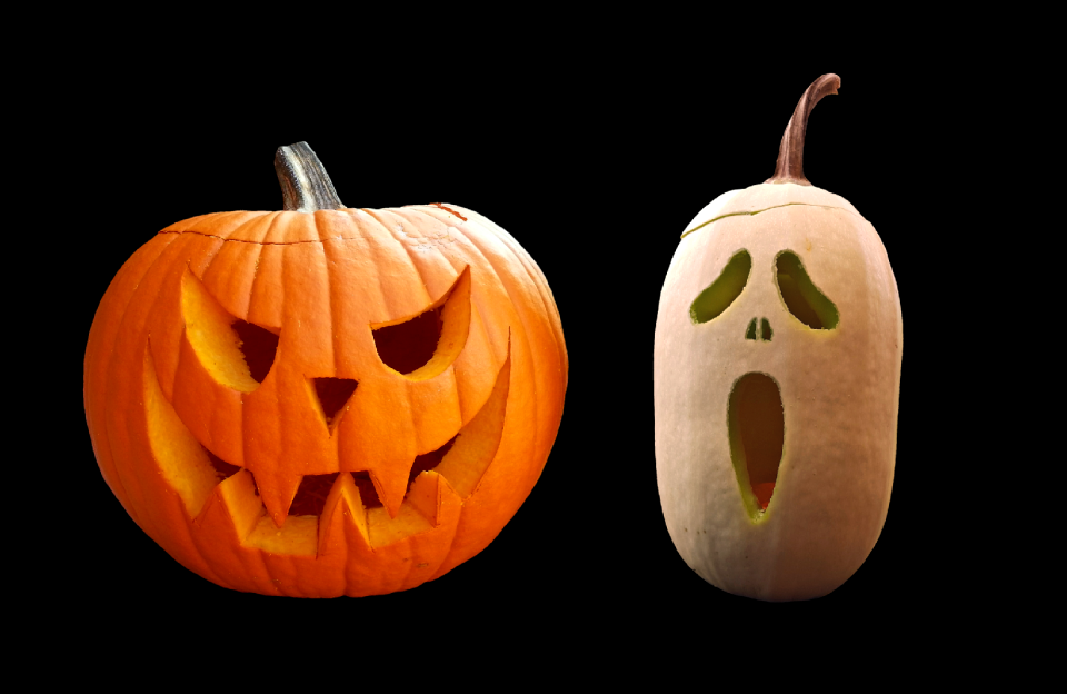 Autumn cucurbita maxima choose