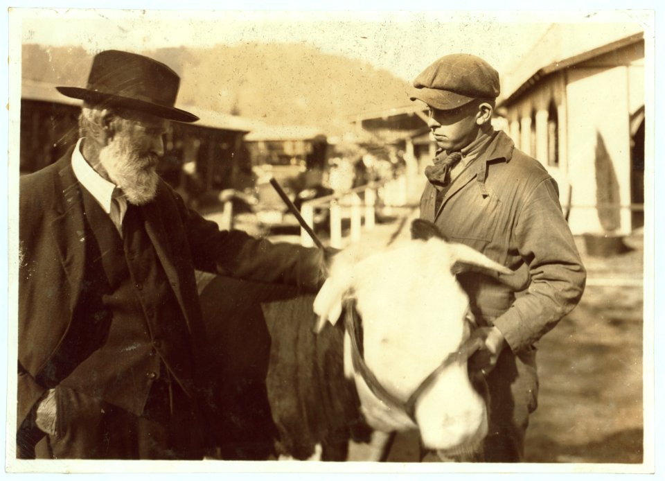 Charley Lawson, prize winner and delegate from Lewis County, to the 4 H State Fair at Charleston, W. Va., is talking over the good points of the prize heifer with one of the rural visitors. LOC nclc.04402