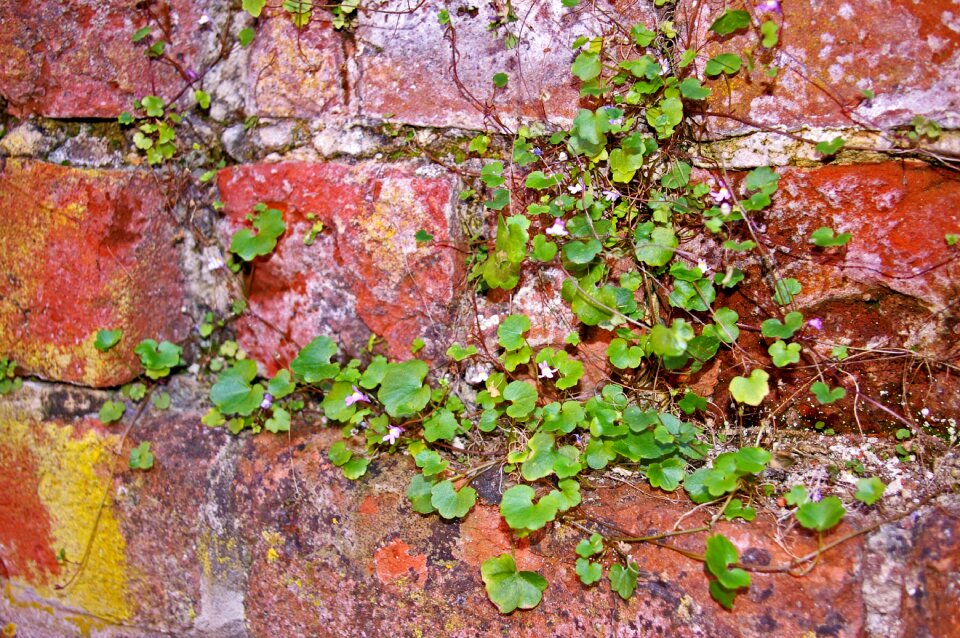 Stones background facade