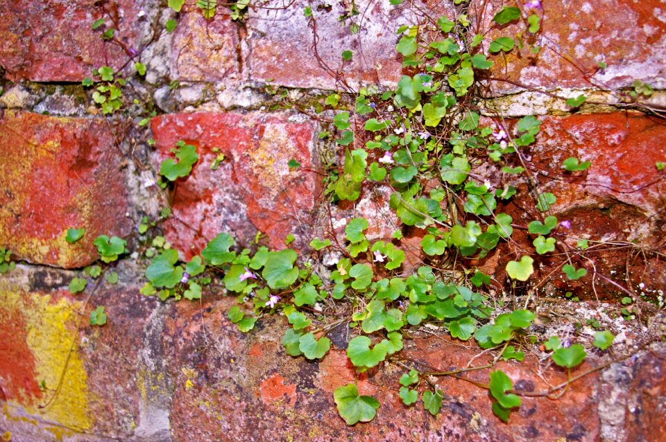 Stones background facade photo