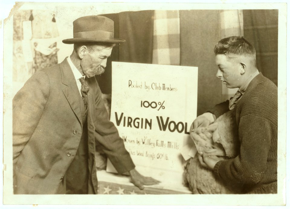 Charley Lawson, one of the 4 H Club Members who has been raising wool, explains to a visitor a new project the Club boys are interested in. Instead of selling the wool at 20 cents a pound, LOC nclc.04403