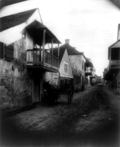 Charlotte Street, St. Augustine, Florida 1886 cph.3b43366