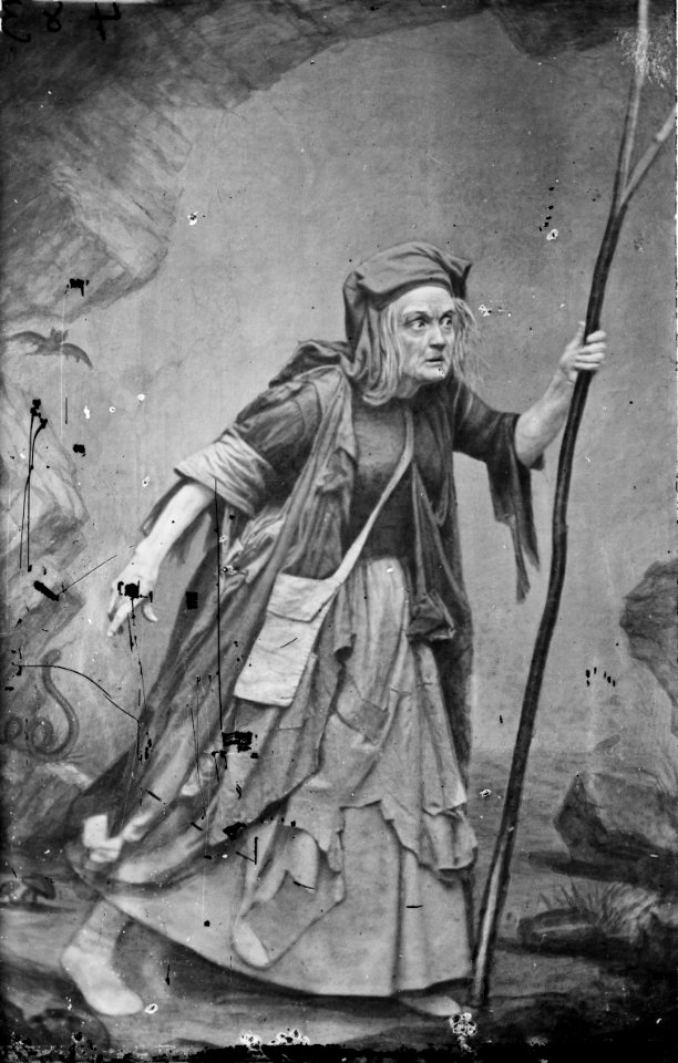 Charlotte Saunders Cushman - Brady-Handy