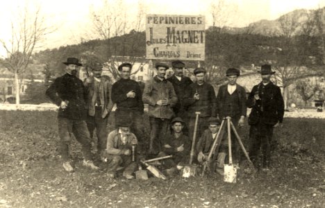 Charols Pépinière viticole Jules Magnet 1904