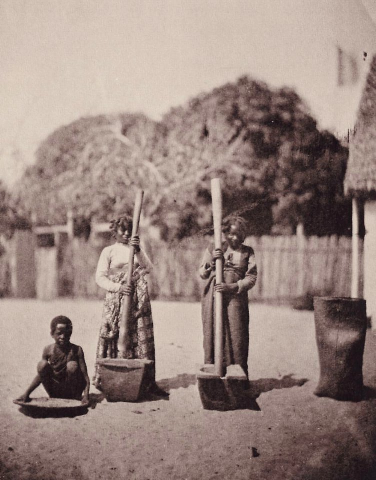Charnay, Claude-Joseph Désirée - Madagaskar – Reisklopfer (Zeno Fotografie)