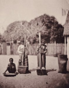 Charnay, Claude-Joseph Désirée - Madagaskar – Reisklopfer (Zeno Fotografie)