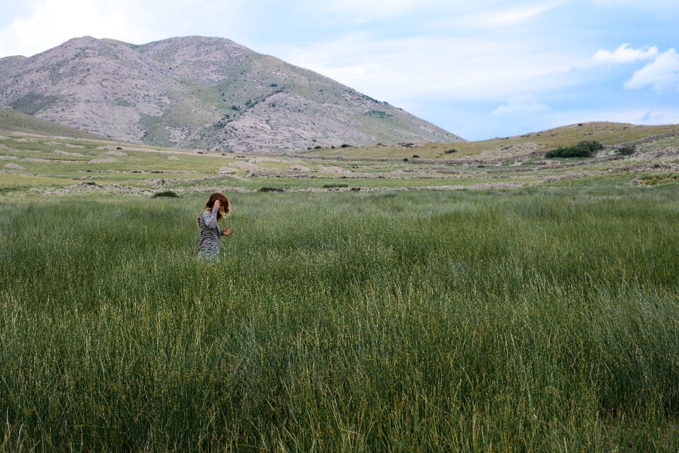 Grassland landscape nature photo