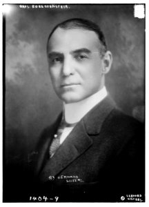 Chas. Boeschenstein LCCN2014687734