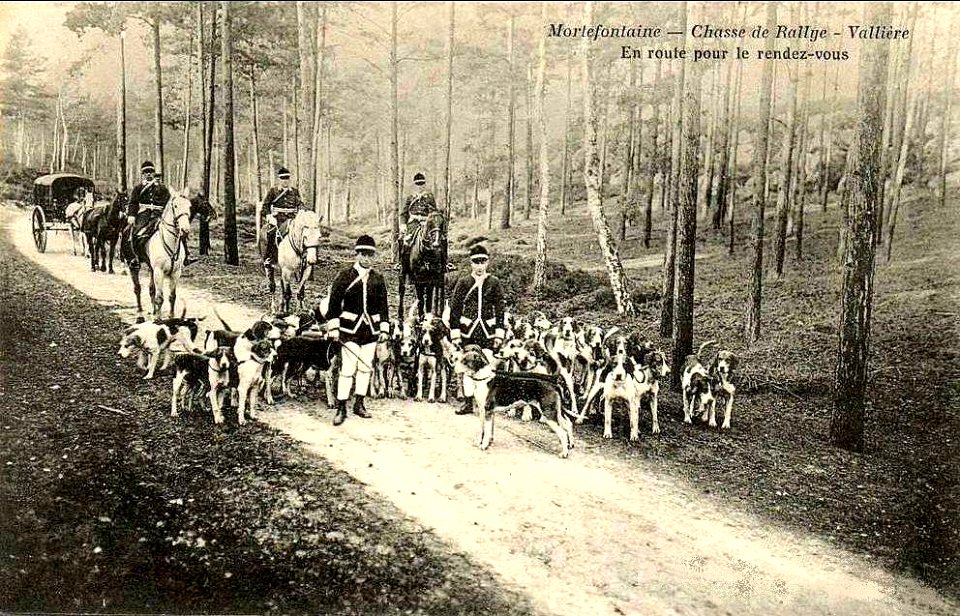 Chasse sur le domaine de Vallière
