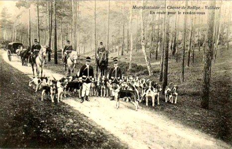 Chasse sur le domaine de Vallière