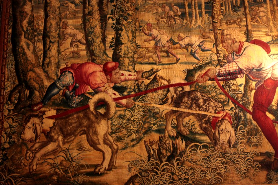 Chasses de l'Empereur Maximilien - Le limier 02