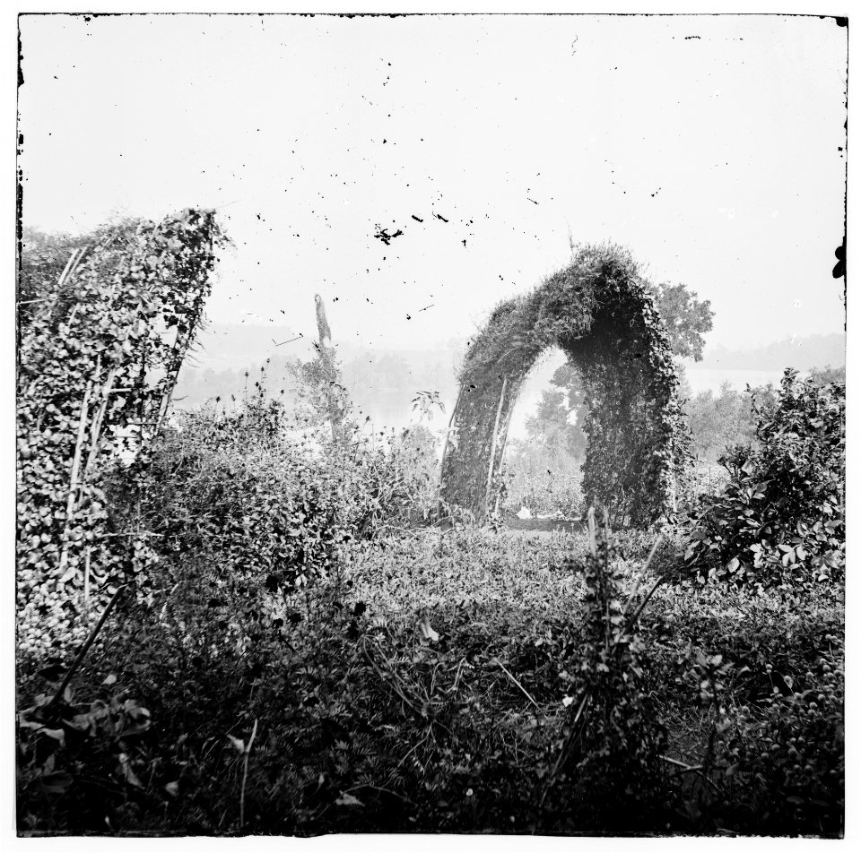 Chattanooga, Tennessee (vicinity). Monument garden LOC cwpb.02155