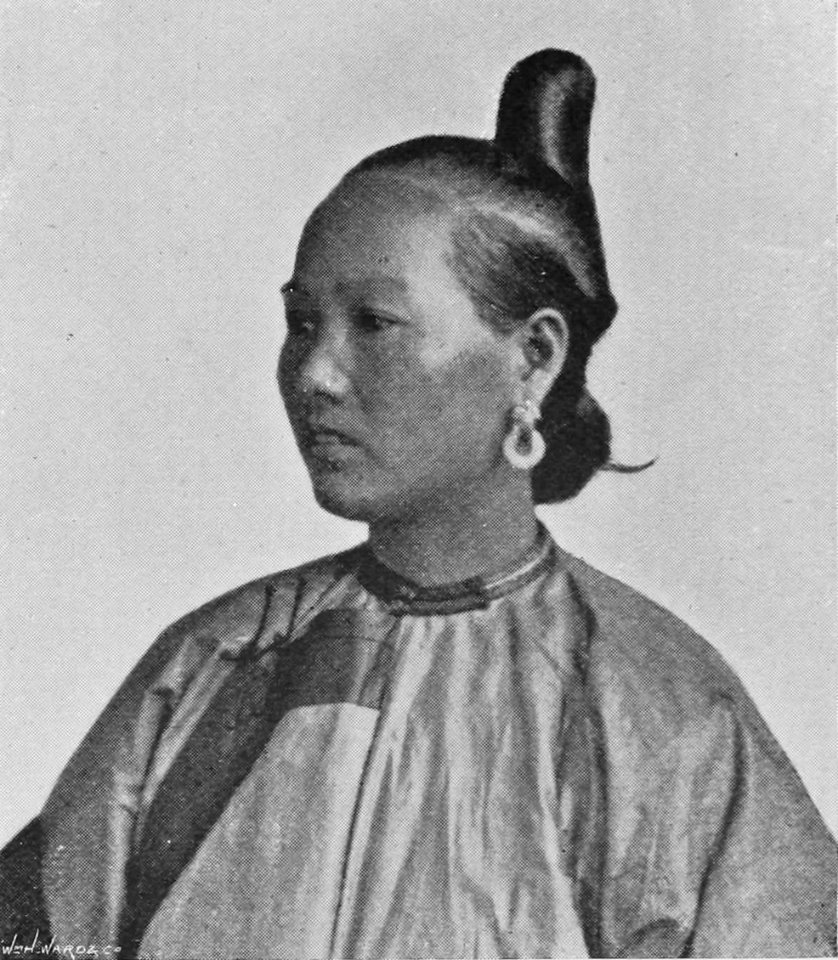 CHAU-CHOW-FU FEMALE