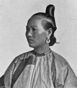 CHAU-CHOW-FU FEMALE