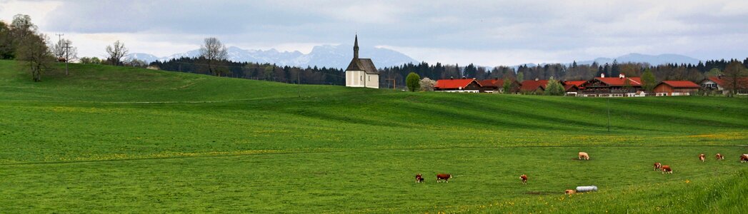 Summer rural field photo